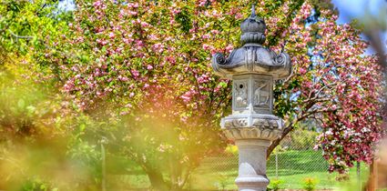 Cowra Sculpture Park